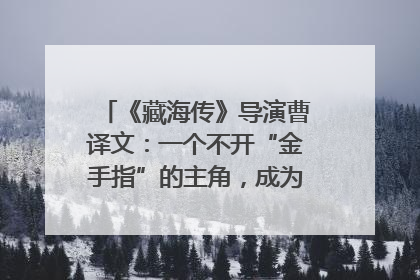 《藏海传》导演曹译文：一个不开“金手指”的主角，成为苍生守护者
