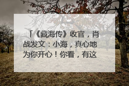 《藏海传》收官，肖战发文：小海，真心地为你开心！你看，有这么多人懂你！