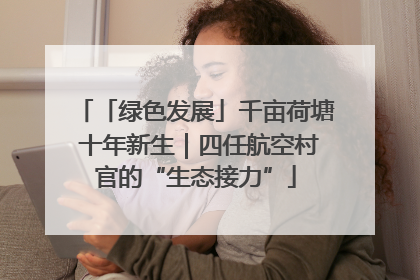 「绿色发展」千亩荷塘 十年新生｜四任航空村官的“生态接力”