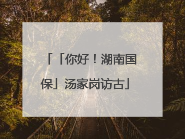 「你好！湖南国保」汤家岗访古