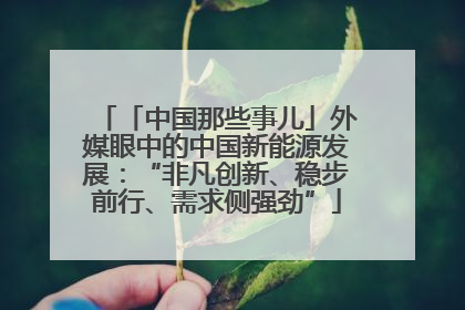 「中国那些事儿」外媒眼中的中国新能源发展：“非凡创新、稳步前行、需求侧强劲”