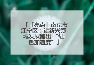「亮点」南京市江宁区：让新兴领域发展跑出 “红色加速度”