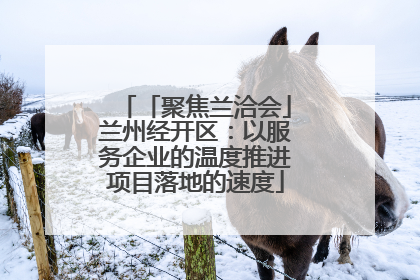 「聚焦兰洽会」兰州经开区：以服务企业的温度推进项目落地的速度