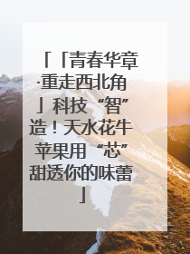 「青春华章·重走西北角」科技“智”造！天水花牛苹果用“芯”甜透你的味蕾