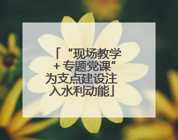 “现场教学＋专题党课”为支点建设注入水利动能