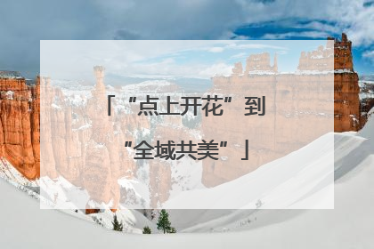 “点上开花”到“全域共美”