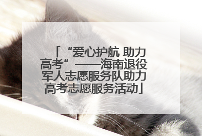 “爱心护航 助力高考”——海南退役军人志愿服务队助力高考志愿服务活动