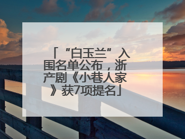 “白玉兰”入围名单公布，浙产剧《小巷人家》获7项提名