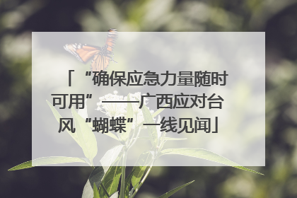 “确保应急力量随时可用”——广西应对台风“蝴蝶”一线见闻