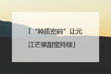 “种质密码”让元江芒果甜蜜持续