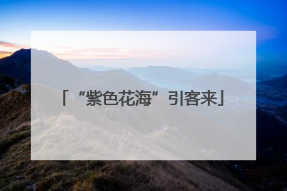 “紫色花海”引客来