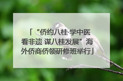 “侨约八桂·学中医 看非遗 谋八桂发展”海外侨商侨领研修班举行