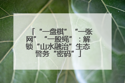 “一盘棋”“一张网”“一股绳”：解锁“山水融治”生态警务“密码”