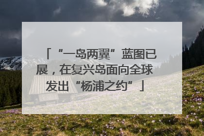 “一岛两翼”蓝图已展，在复兴岛面向全球发出“杨浦之约”