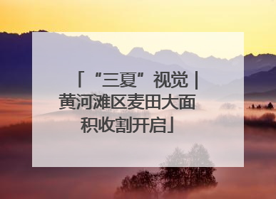 “三夏”视觉｜黄河滩区麦田大面积收割开启