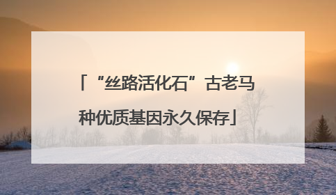 “丝路活化石”古老马种优质基因永久保存