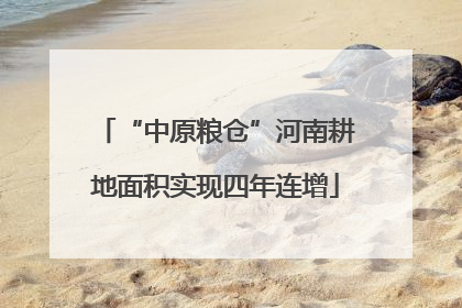 “中原粮仓”河南耕地面积实现四年连增