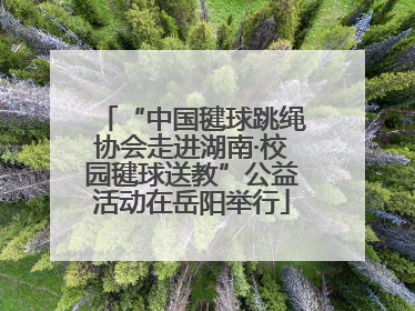 “中国毽球跳绳协会走进湖南·校园毽球送教”公益活动在岳阳举行