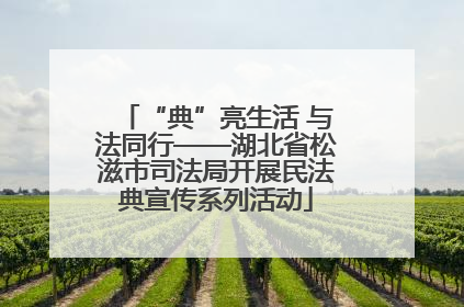“典”亮生活 与法同行——湖北省松滋市司法局开展民法典宣传系列活动