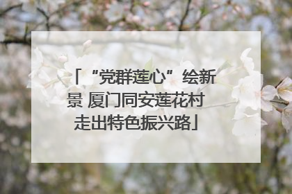 “党群莲心”绘新景 厦门同安莲花村走出特色振兴路