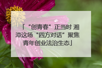 “创青春”正当时 湘潭这场“四方对话”聚焦青年创业法治生态