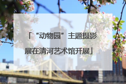 “动物园”主题摄影展在清河艺术馆开展