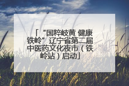 “国粹岐黄 健康铁岭”辽宁省第二届中医药文化夜市（铁岭站）启动
