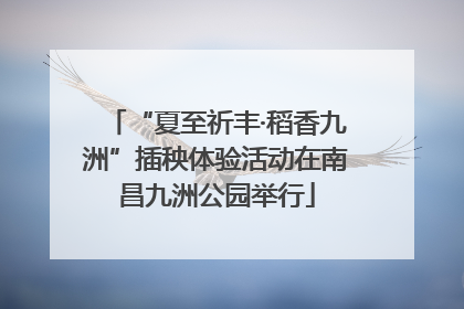 “夏至祈丰·稻香九洲”插秧体验活动在南昌九洲公园举行
