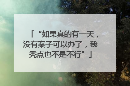 “如果真的有一天，没有案子可以办了，我秃点也不是不行”