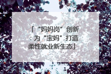 “妈妈岗”创新：为“宝妈”打造柔性就业新生态