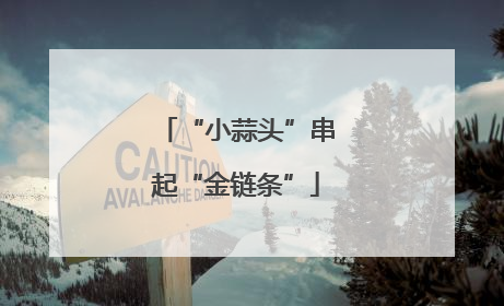 “小蒜头”串起“金链条”