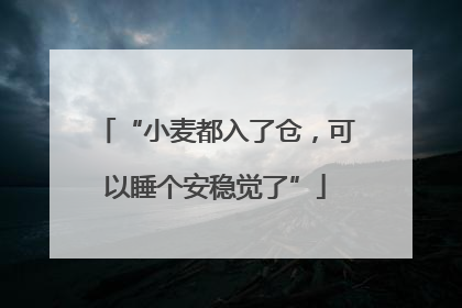 “小麦都入了仓，可以睡个安稳觉了”