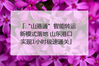 “山港通”智能转运新模式落地 山东港口实现1小时极速通关
