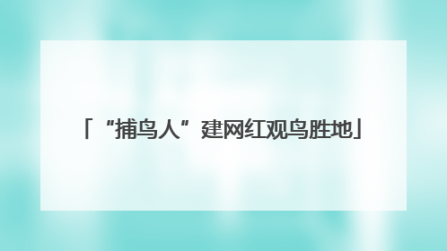 “捕鸟人”建网红观鸟胜地