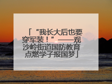 “我长大后也要穿军装！”——观沙岭街道国防教育点燃学子报国梦