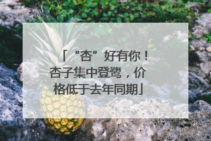 “杏”好有你！杏子集中登鹭，价格低于去年同期