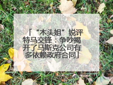 “木头姐”锐评特马交锋：争吵揭开了马斯克公司有多依赖政府合同