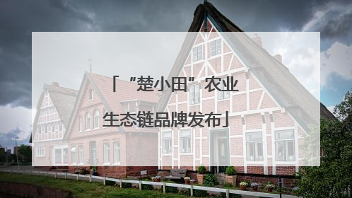 “楚小田”农业生态链品牌发布