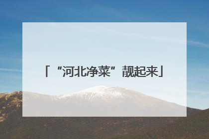 “河北净菜”靓起来