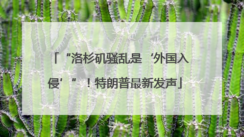 “洛杉矶骚乱是‘外国入侵’”！特朗普最新发声