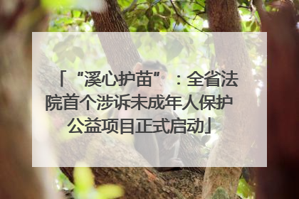 “溪心护苗”：全省法院首个涉诉未成年人保护公益项目正式启动
