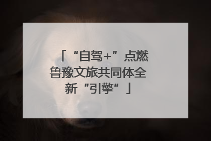 “自驾+”点燃鲁豫文旅共同体全新“引擎”