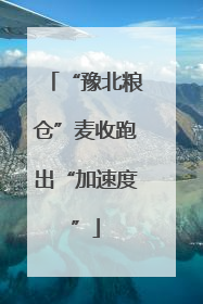 “豫北粮仓”麦收跑出“加速度”