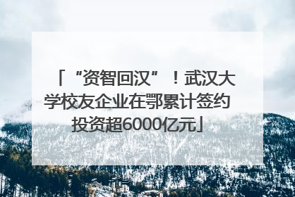 “资智回汉”！武汉大学校友企业在鄂累计签约投资超6000亿元