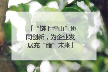 “链上坪山”协同创新，为企业发展充“储”未来
