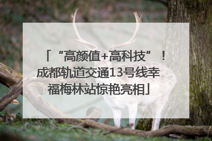 “高颜值+高科技”！成都轨道交通13号线幸福梅林站惊艳亮相