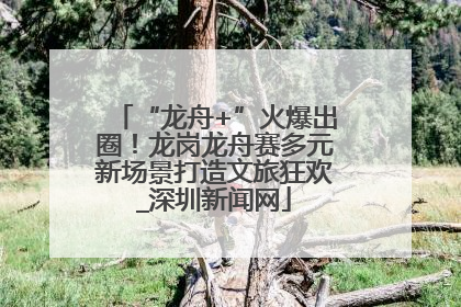 “龙舟+”火爆出圈！龙岗龙舟赛多元新场景打造文旅狂欢_深圳新闻网