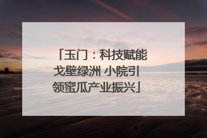 玉门：科技赋能戈壁绿洲 小院引领蜜瓜产业振兴