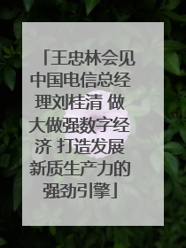 王忠林会见中国电信总经理刘桂清 做大做强数字经济 打造发展新质生产力的强劲引擎