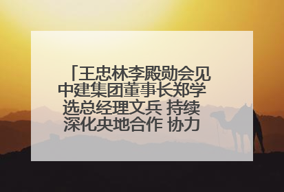 王忠林李殿勋会见中建集团董事长郑学选总经理文兵 持续深化央地合作 协力推动支点建设